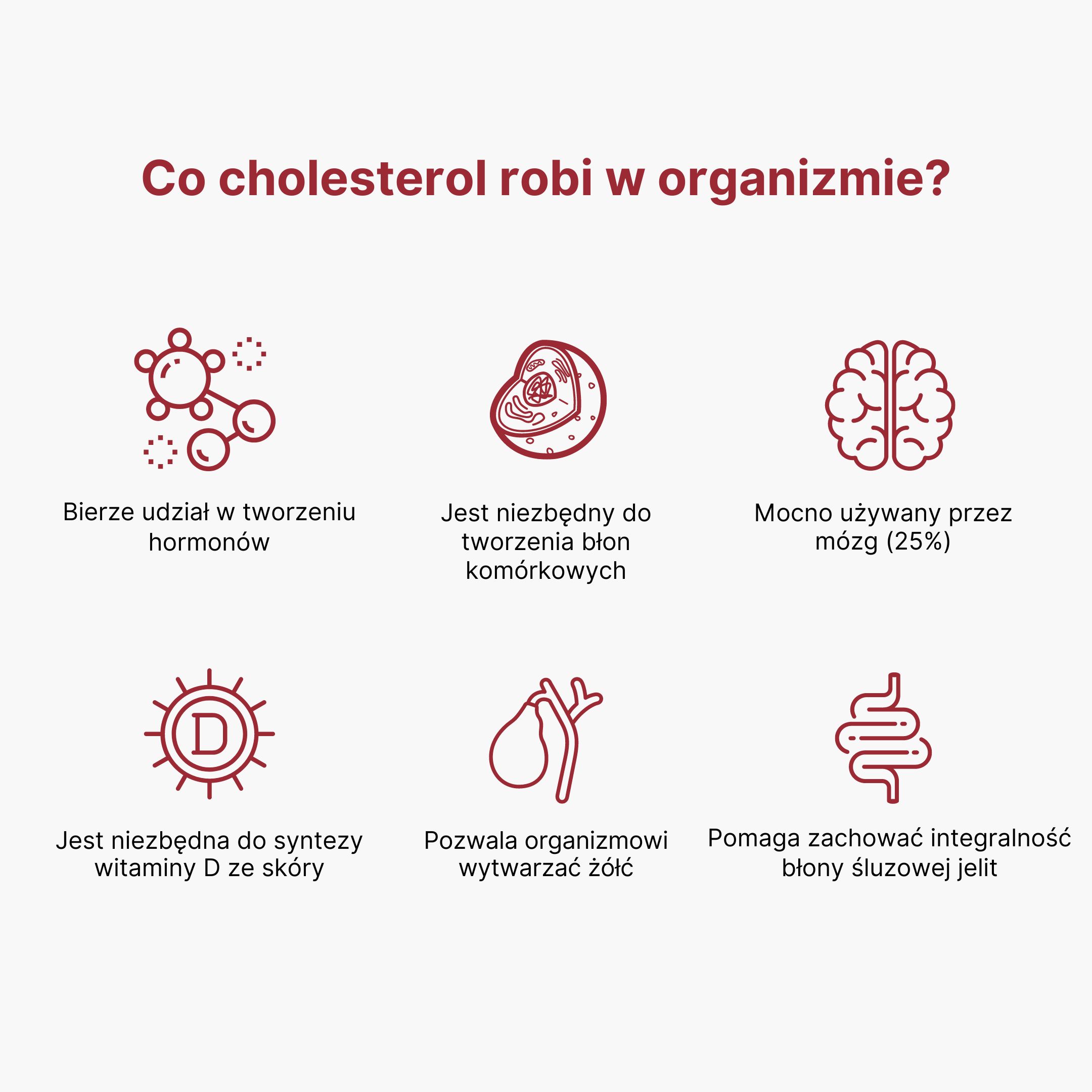 (Polština) Co má v těle na starost cholesterol
